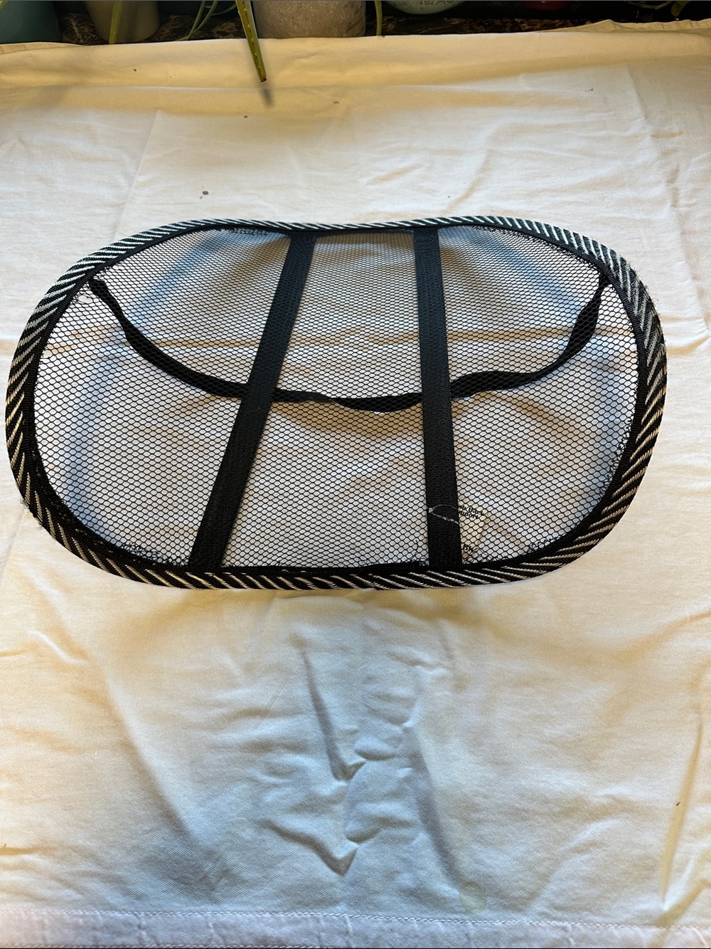 Mesh Back Support